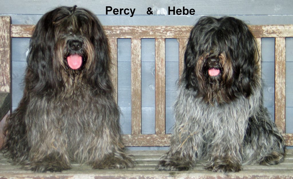 Percy en Hebe