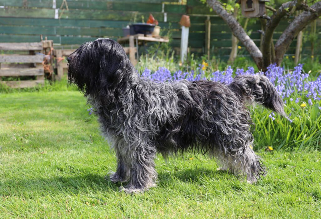 OzewiezeKatja van Deerne Dartel